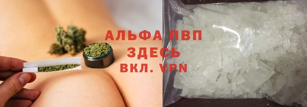 PSILOCYBIN Абаза