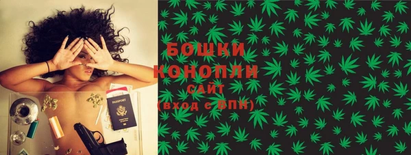 PSILOCYBIN Абаза