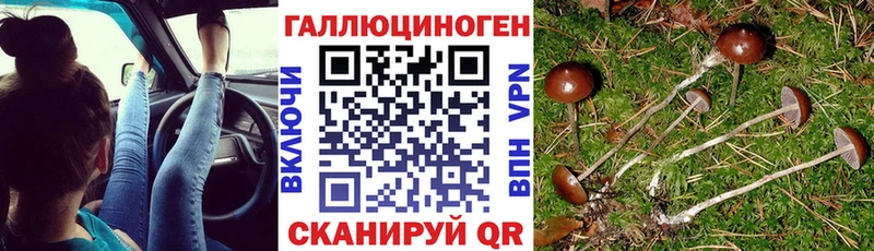 как найти закладки  Венёв  Псилоцибиновые грибы MAGIC MUSHROOMS 